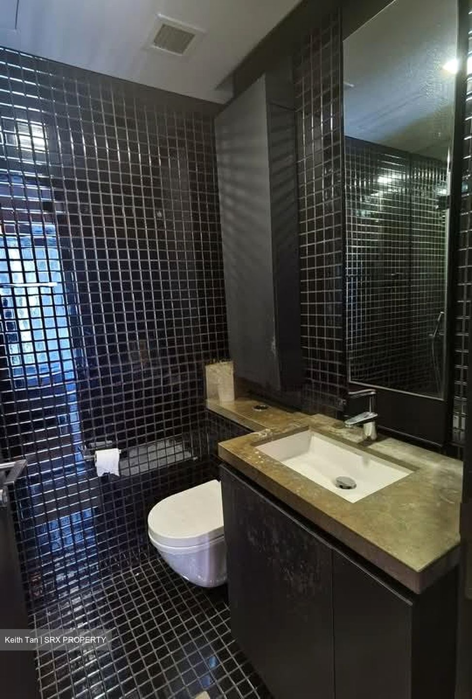 Skysuites@Anson (D2), Apartment #584405621